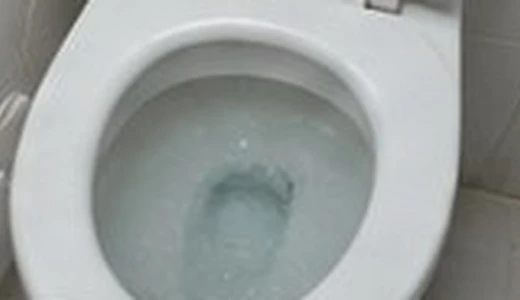 변기막힘 이미지
